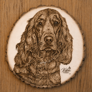 Cocker Spaniel